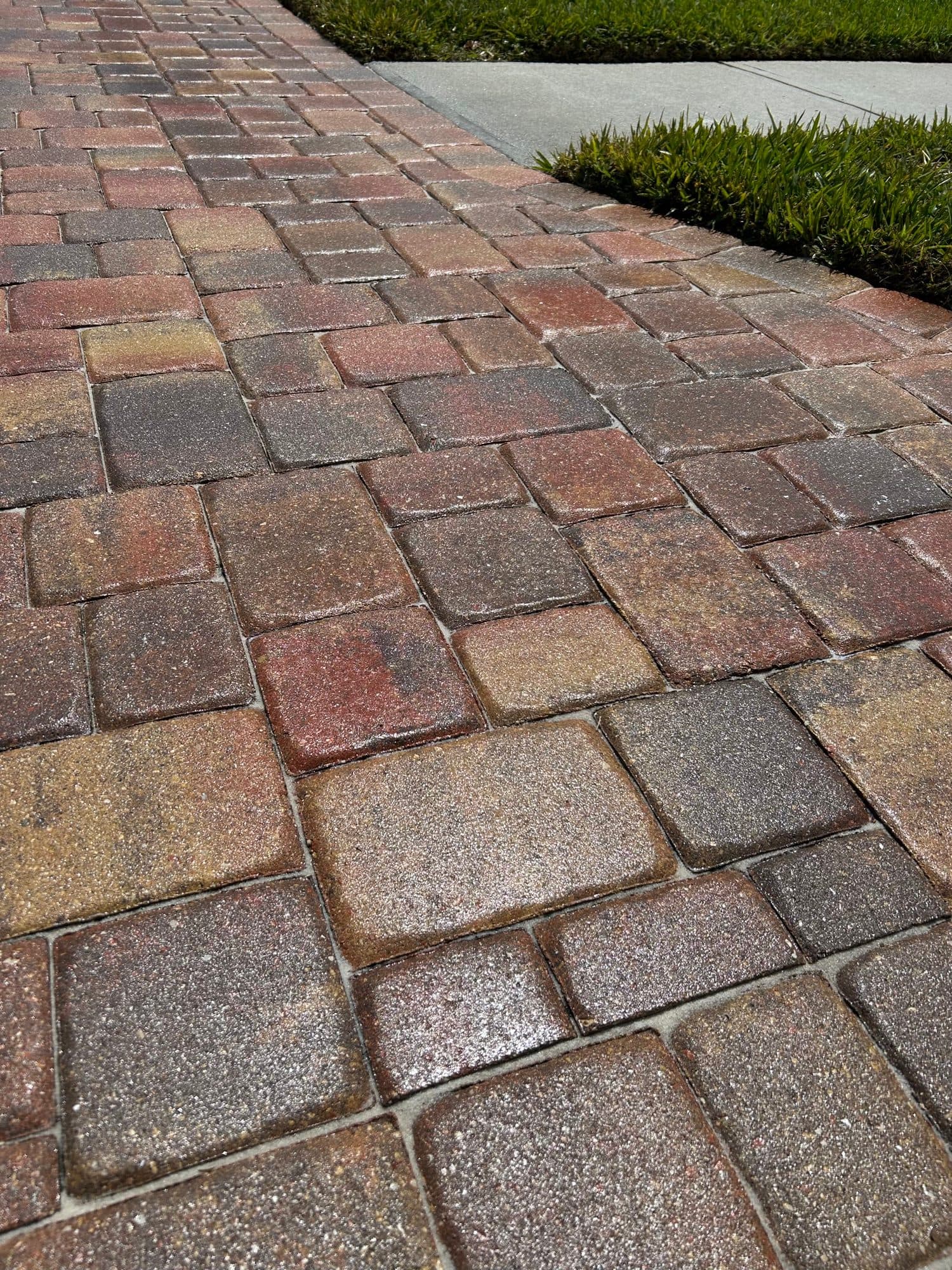 Freshly sealed tumbled cobble paver walkway in Brevard County, FL — paver sealing by Atlantic Exteriors
